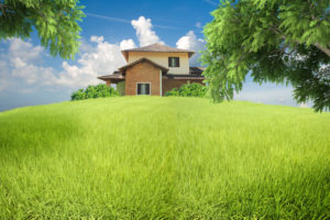 Terrain à bâtir - Saint Appolinard - Amélie RAMADANOSKI